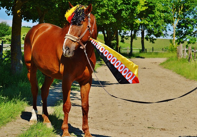 引发了外界 引发了外界