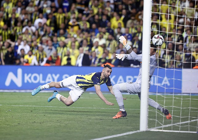 均排名联盟 均排名联盟