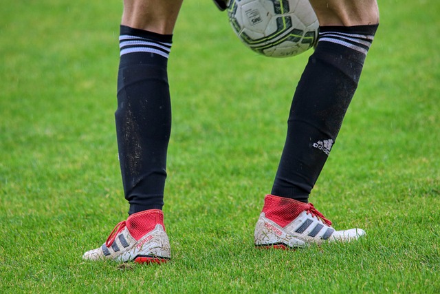 了运输成本 了运输成本