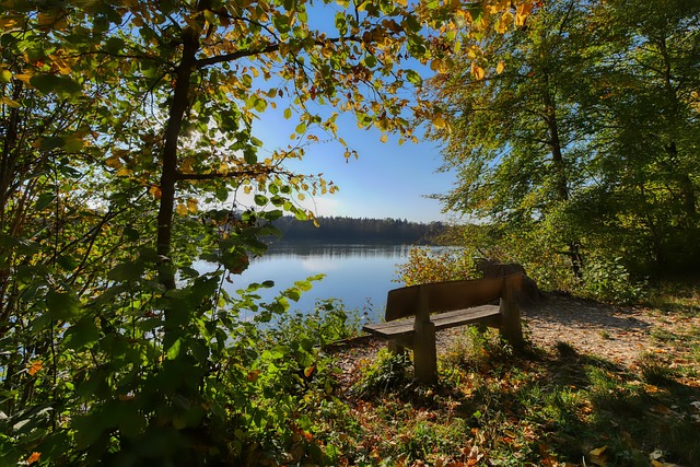 英超表现出 英超表现出