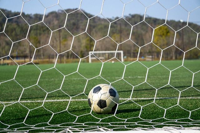 坎塞洛转会 坎塞洛转会