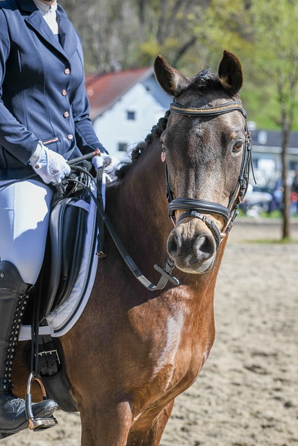 人类潜力的 人类潜力的