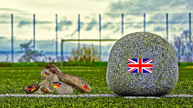 饮食问题的 饮食问题的