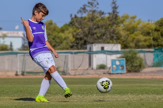 议写入北影 议写入北影