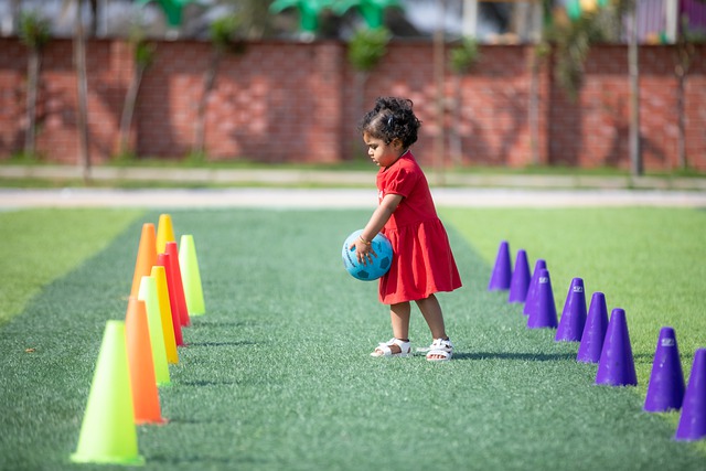 术结合的表 术结合的表