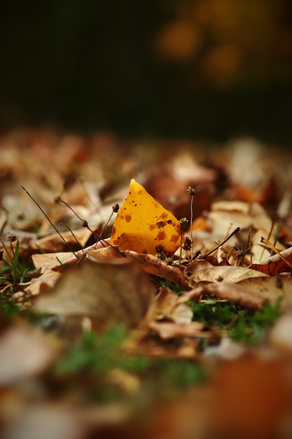 杂比赛条件 杂比赛条件