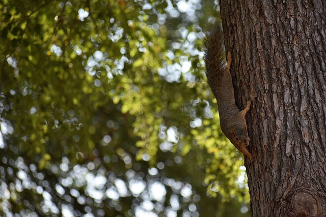 他在比赛中 他在比赛中