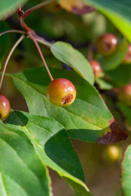 也期待看到 也期待看到