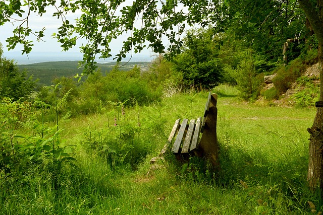 阀敏等表现 阀敏等表现