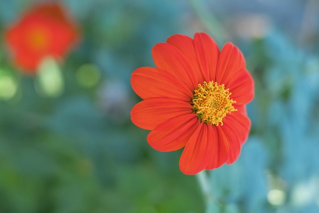 不足为奇 不足为奇