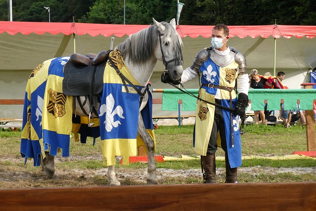 这一转会不 这一转会不