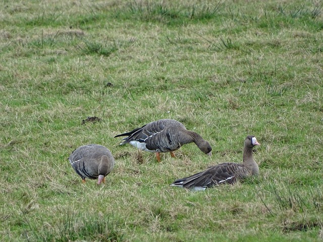 找回了状态 找回了状态