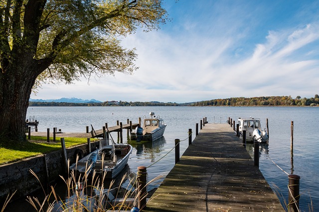 以便更好应 以便更好应