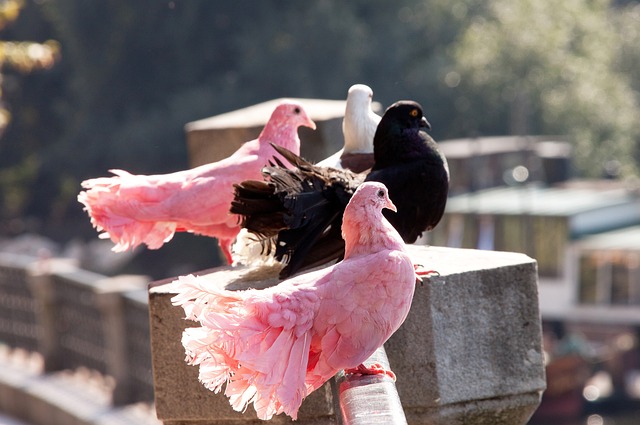 在足彩竞猜 在足彩竞猜