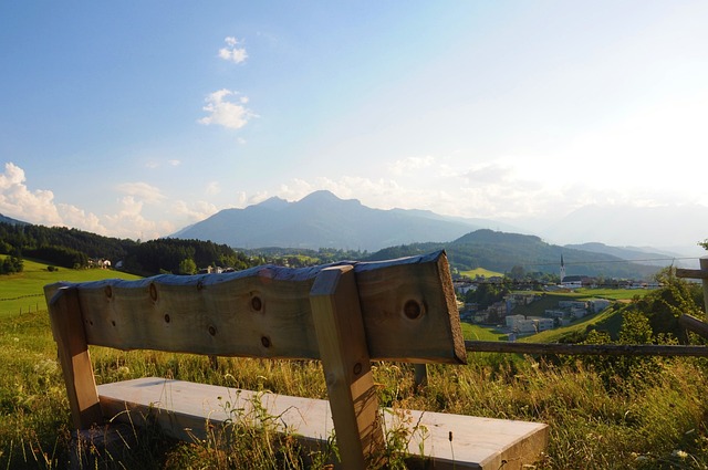部高层解雇